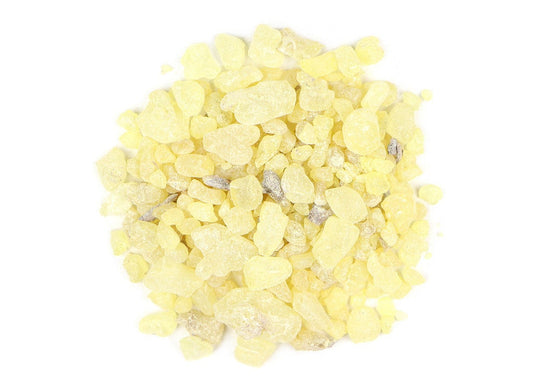 Copal Oro Gold Pieces | Wild-crafted Copal Oro Pieces | Shorea Javanica